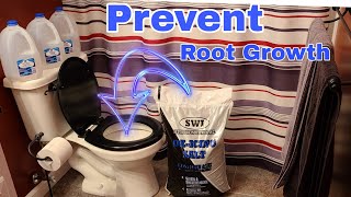 How to prevent roots from growing in main sewer line [upl. by Pals]