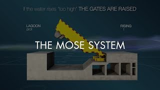 THE MOSE SYSTEM [upl. by Wolram524]