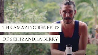 The Amazing Benefits Of Schizandra Berry [upl. by Gmur]