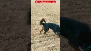 Khel kabbaddi Kheta mein [upl. by Bennion382]