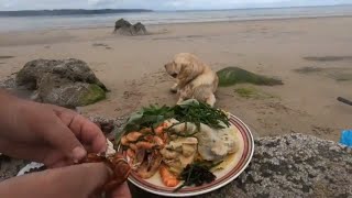 Foraged Sashimi Prawns and Wild Seafood omelette cooked on the beach with Craig Evans [upl. by Ackerman]