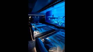 The Ultimate Experience at Underwater Hotels all travel beautiful best [upl. by Genet]