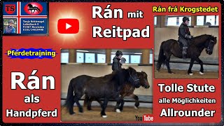 Rán Handpferd Reitpad Isländer Islandpferd Pferdetraining Tipps aus Unterricht Tanja Schienagel [upl. by Anis]