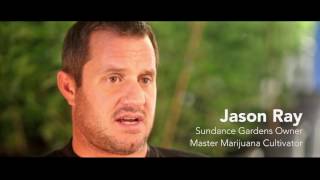 About Sundance Gardens Master Marijuana CultivatorsGrowers [upl. by Dagney]