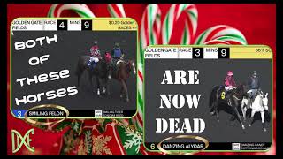 TWO MORE DEATHS Dec 2023 🌨 GoldenGateFields horseracing [upl. by Nohtanhoj]