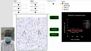 Molecule Movement Across a Semipermeable Membrane simulation [upl. by Takken976]