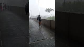 una tempestad en medellin impresionante [upl. by Arramahs]