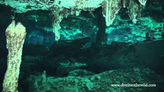 Dos Ojos Cenote [upl. by Bissell495]