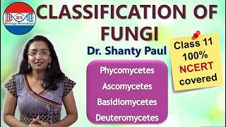 Classification of fungi  Biological classification [upl. by Erine]