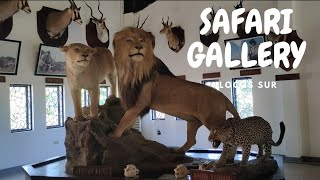 SAFARI GALLERY  BALUARTE  VIGAN [upl. by Otreblon]