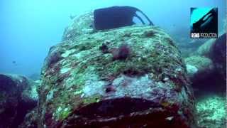 Diving Tambuli in Mactan Cebu island Philippines [upl. by Sibyl]