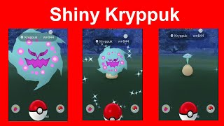 Shiny Kryppuk aus Feldforschung Vergleich mit Kryppuk  Pokemon GO Deutsch 166 [upl. by Nollid223]