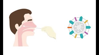 Describing antigen testing for COVID 19 [upl. by Elli810]