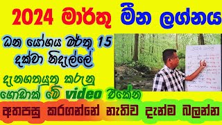 Lagna Palapala 2024 March Meena Lagnaya ලග්න පලාපල 2024 මාරතු මීන ලග්නය [upl. by Nasas]