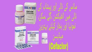 Ceclor TabletampSyrupampDrops CefaclorUses Benefits ampSideeffect in UrduHindi  How to use Cefaclor [upl. by Minton22]