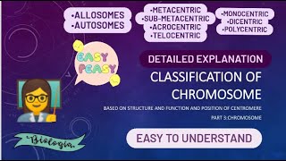 classification of chromosomes  types of chromosomes  based on functioncentromere numberposition [upl. by Ahcsatan900]