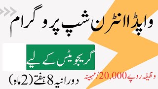 Wapda Internship Program 2024 Paid Internship [upl. by Maxwell762]