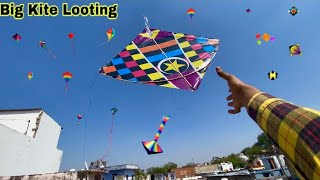 Kite looting 🪁  patang loot li bhot saari 😎 kite catching  kite looting  kite flying  kite [upl. by Nimesay]