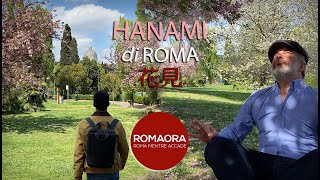 Lincredibile HANAMI di ROMA [upl. by Amasa]