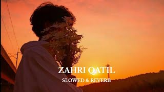 ZAHRI QATIL  SLOWED AND REVERB  SHAKIR BABA  UMAR HAMID  NEW KASHMIRI SONG [upl. by Moberg620]