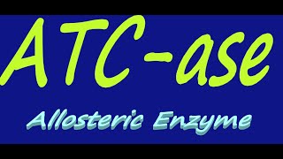 ATCase  Aspartate Trans Carbamoylase  Allosteric Enzyme  By Dorka Beri [upl. by Aicilav]