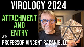 Virology Lectures 2024 5 Attachment and Entry [upl. by Craggy]