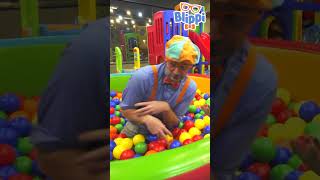 Blippi Visits Kinderland 🛝 Shorts [upl. by Enilkcaj613]