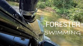 Forester OffRoad  Water Crossings [upl. by Feola963]