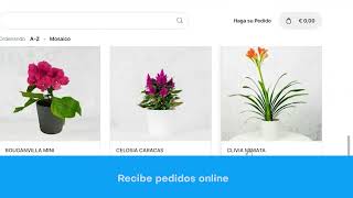 ¡Crea tu Catalogo Digital gratis  Nextar [upl. by Belford604]