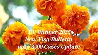 New Visa Bulletin 2025  Good News for DV Winner 2025  January interview of EDV Winner 2025 [upl. by Elmaleh]