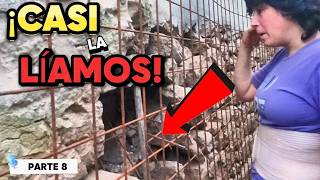 42🏡Colocación del MALLAZO👷🏻‍♀️🚧CIMIENTOS al DESCUBIERTO🧱 REHABILITACIÓN de CABAÑA de PIEDRA⛏ [upl. by Jammie]