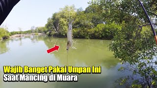 Umpan Ampuh Untuk Mancing Berbagai Jenis Ikan di Muara [upl. by Shanks]