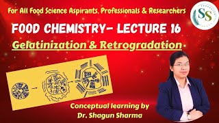 Food Chemistry Lecture 16  Gelatinization amp Retrogradation Foodchemistry [upl. by Gillman614]