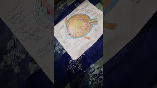 Aakh ka sanrachna banane ka tarika how to make eye structure shortvideo viral [upl. by Atem]