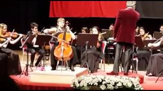 Boccherini Cello Concerto B flat Major [upl. by Sontich]