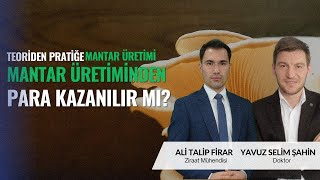 KÜLTÜR MANTARI ÜRETİMİ  TEORİDEN PRATİĞE MANTAR ÜRETİMİ [upl. by Queridas223]