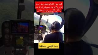 Plane and bird in midairyoutubeshorts trendingshort viralvideo shortsfeed military [upl. by Aihsikal]