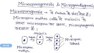 Microsporogenesis and Microgametogenesis hindi [upl. by Hartwell]