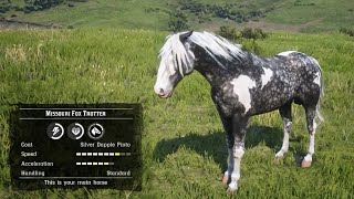 Best amp Proper Way to Get the Fastest Missouri Fox Trotter Horse Early  RDR2 [upl. by Werdnaed]