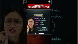 🔴CHONDRICHTHYES EXAMPLES In 1 Minute  TRICK TO LEARN ytshorts shortsfeed neet ytshortsfeature [upl. by Aleacem]