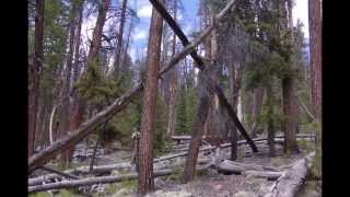 Hobbs Bigfoot Expedition Yellowstone Canyon [upl. by Fiedling501]