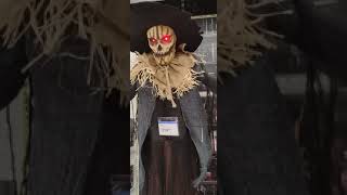 Party City Halloween 2024 Drop Down Scarecrow halloween [upl. by Dov]