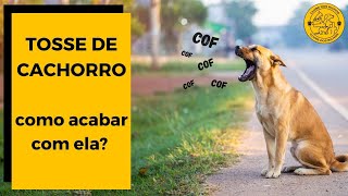 TOSSE DE CACHORRO Saiba como ACABAR COM ELA TOSSE DOS CANIS [upl. by Dyana]