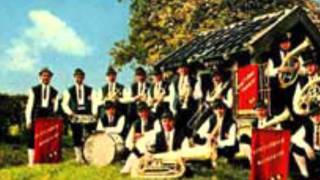 riestelander muzikanten margraten festwies polka [upl. by Kcirddec118]