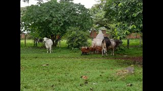 BIODIVERSIDAD EN EL REGIONAL [upl. by Erika]