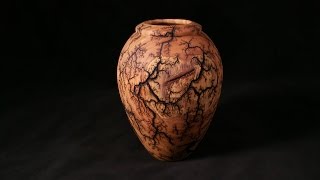 Lichtenberg Fractal Burned Vessel [upl. by Girvin554]