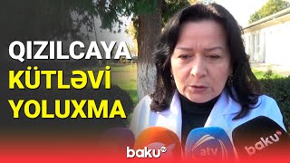 Zaqatalada qızılca xəstəliyi ilə bağlı 64 nəfər xəstəxanaya müraciət edib [upl. by Nwahc]