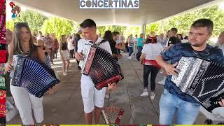 Picadinho da Eira 🪗Concertinas 🎈Monção 👍Juventude Portuguesa 🇵🇹Tradições de Portugal 👉Concertina [upl. by Swithbert]