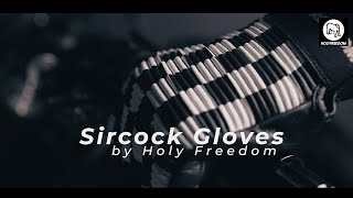 HolyFreedom Sircock Motorcycle Gloves [upl. by Ahtikal]