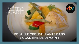 Gastronomie  volaille croustillante dans la cantine de demain [upl. by Arracot502]